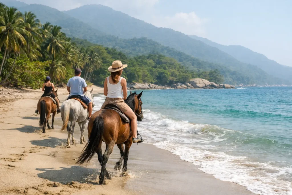 Cabalgata por la playa en Guachaca: qué esperar